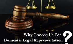 Why Choose Nidhi Rajoura & Associates for Domestic Legal Representation?