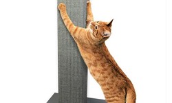 Claw-some Finds: The Top 10 Cat Scratching Posts Online