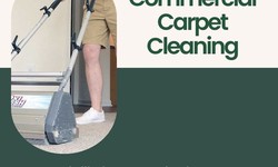 Revitalize Your Space: The Ultimate Guide to Commercial Carpet Cleaning in Bellingham with Bellingham Carpet Cleaning