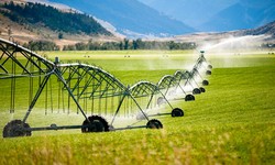 Water Wisdom: Best Practices for Vineyard Irrigation Systems