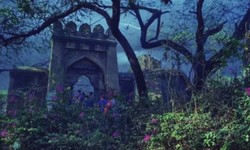Unraveling Hidden Gems in Delhi: Explore Offbeat Treasures with Geniefie!
