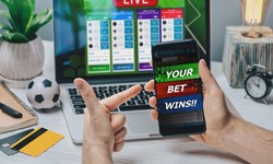 How online sports betting sites help you to earn money?