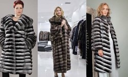 "Decoding Chinchilla Coat: A Comprehensive Guide to Luxury and Elegance"