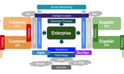 Innovative Strate­gies for Digital Evolution in Enterprises