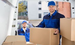 How SEMs Are Thriving Choosing a Courier Service In the UK