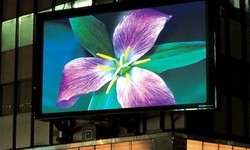 From Static to Dynamic: Why Your Business Needs Digital Signage