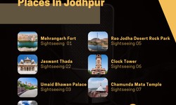 Top 7 Sightseeing Places In Jodhpur