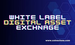 How Does White Label Digital Asset Exchange Help Create a Digital Asset Exchange Platform?