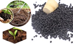 Humic Acid Granular Fertilizer – Have A Clear Sense About Its Role On Soil Health