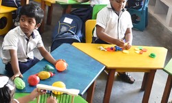 The Epitome of Learning: Pondicherry's Best School Unveiled - Amalorpavamschool
