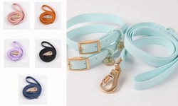 Unveiling the Top Dog Collar Manufacturers: A Comprehensive Guide