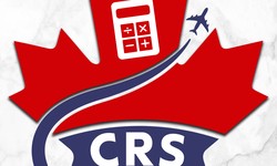 Canada CRS Score Calculator User-Friendly Online