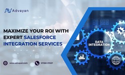 Maximize Your ROI with Expert Salesforce Integration Services