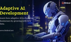 The Future is Now: Building Adaptive AI Systems for Real-World Applications