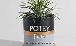 Enhance Your Indoor Space with POTEY Pots for Your Beloved Indoor Plants