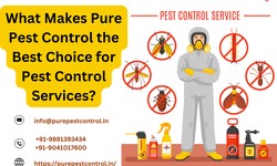 What Makes Pure Pest Control the Best Choice for Pest Control Services?