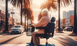 Enhancing Your Disney World Experience: The Top Mobility Scooter Rental Services