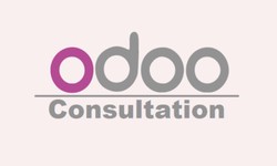 Odoo Consulting: A Freelancer's Comprehensive Guide to Success with Abinfocom