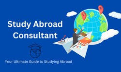 Mastering Your Study Abroad Journey with Expert Consultants