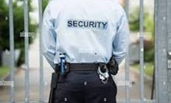 Enhancing Security: Unveiling Mumbai's Top 10 Security Guard Agencies