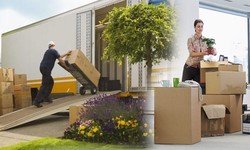 Seamless Transitions: The Role of Home Shifting Services