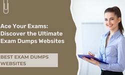 Excellence Unlocked: Best Exam Dumps Websites