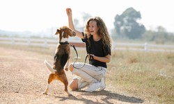 The Heart of Dog Training at Wag Mates Academy