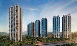 DLF Privana West: Factors to Decide Floor in High-Rise Tower