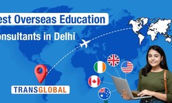Role and Importance of Overseas Education consultants in Delhi