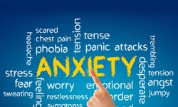 Anxiety in the Elderly: Managing Mental Health Issues in Increasingly Ageing Societies