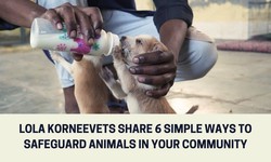 Lola korneevets Share 6 Simple Ways to Safeguard Animals in Your Community