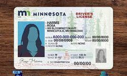 Fake Minnesota Driver's License: Identifying Counterfeit IDs