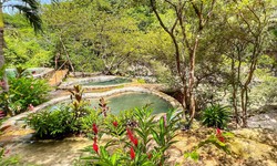 Explore the Marvels of Rincon de la Vieja Volcano & Costa Rica Hot Springs