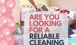 Cleaning Service Secrets for a Smooth Transition