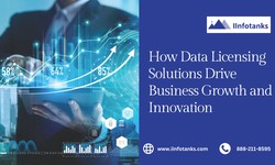 How Data Licensing Solutions Drive Business Growth and Innovation