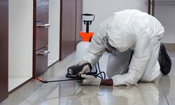 The Ultimate Resource for Commercial Pest Control Services in Charlotte