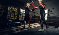 Fighter's Paradise: Exploring Mornington's Premier Boxing Gym