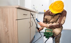 What to Expect During Your First Pest Inspection Appointment?