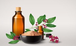 Exploring Benefits of Homeopathic Medicine