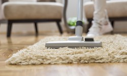 Eco-Friendly Carpet Cleaning Solutions: Sustainable Options for Mount Waverley Homes