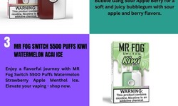 Mr fog switch sw15000 flavors