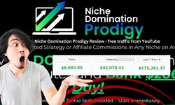 Niche Domination Prodigy Review –  free traffic from YouTube