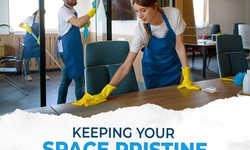 Comprehensive Cleaning Services in Naples FL: Elevate Your Living Space