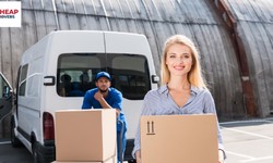 The Ultimate Guide To Brisbane Removalists For Interstate Moves
