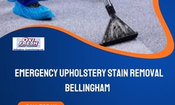 Mastering Emergency Upholstery Stain Removal: A Comprehensive Guide from Bellingham Carpet Cleaning