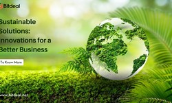 Sustainable Solutions: Innovations for a Better Business