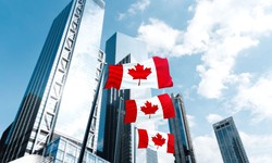 Beyond Borders: Mastering Immigration Challenges with Canadian Legal Insights