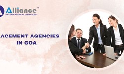 Which Factors Should I Consider When Choosing Placement Agencies in Goa?
