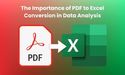 The Importance of PDF to Excel Conversion in Data Analysis