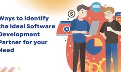 6 Ways to Identify the Ideal Software Development Partner for Your Needs